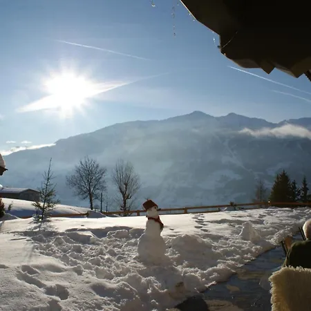 Tannen - Alm