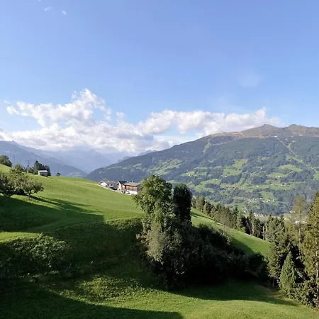 Tannen - Alm *