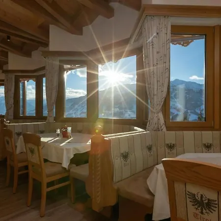 Tannen - Alm *